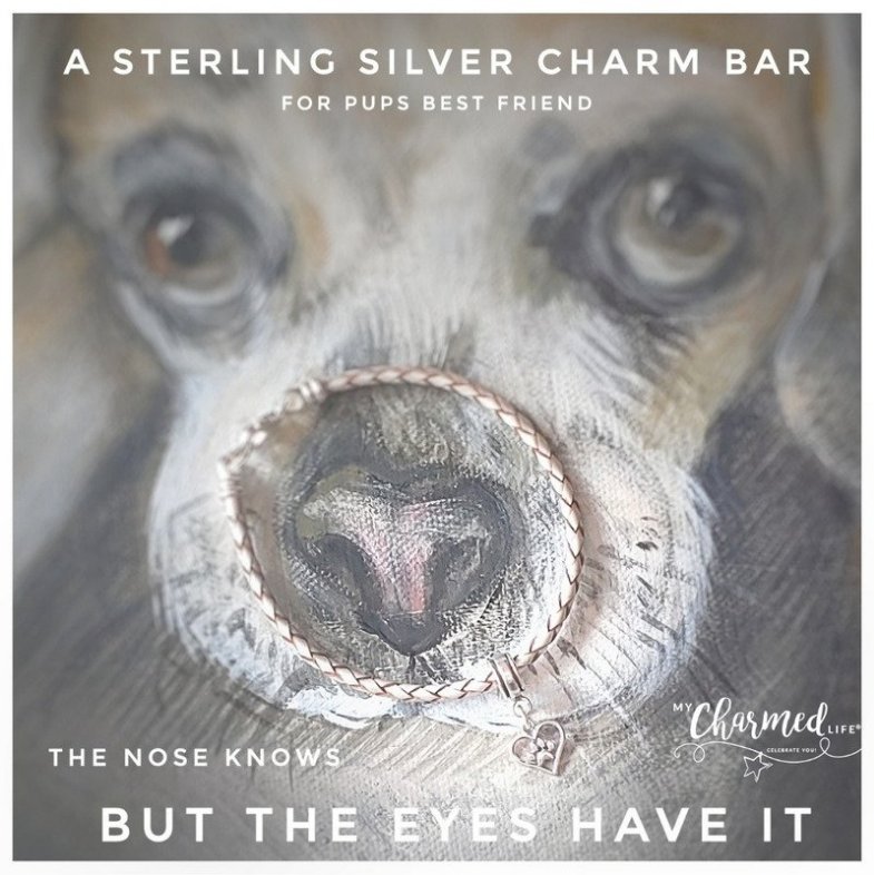 MCL Leather Bracelet Traditional and contemporary charm bracelets and bangles